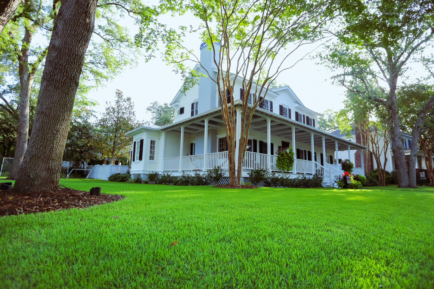Empire Zoysia per 450 sq ft.