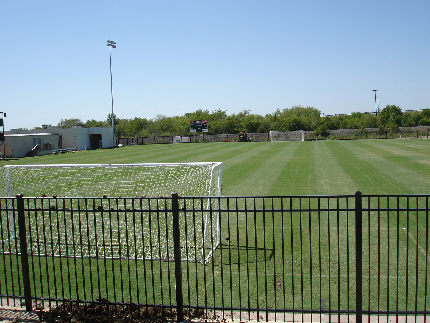 Celebration Bermudagrass per 450 sq. ft.