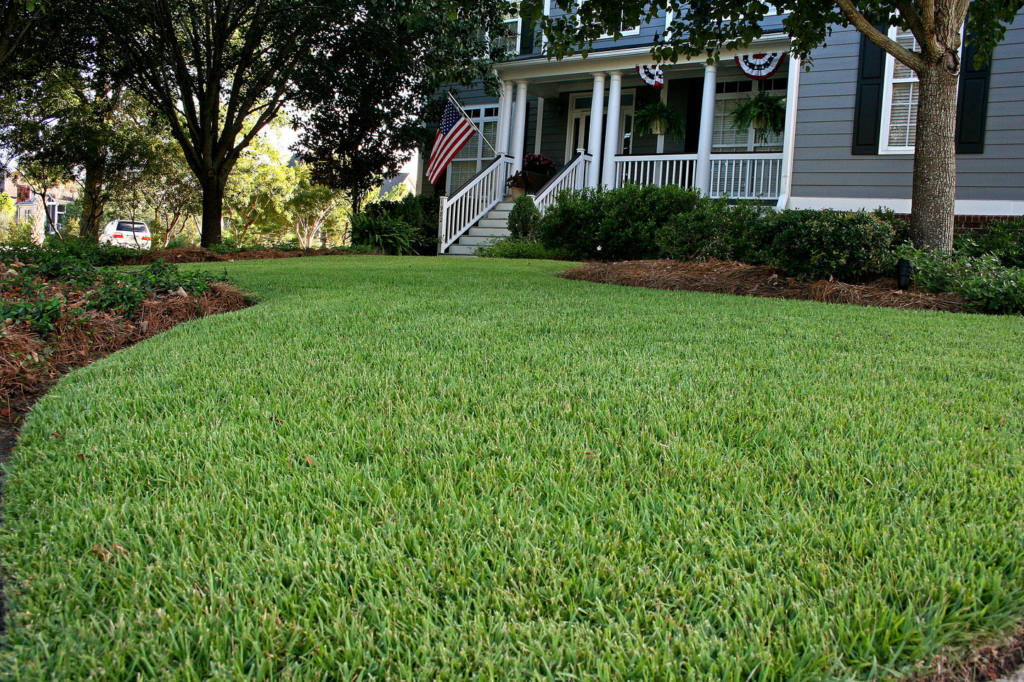Empire Zoysia per 450 sq ft.