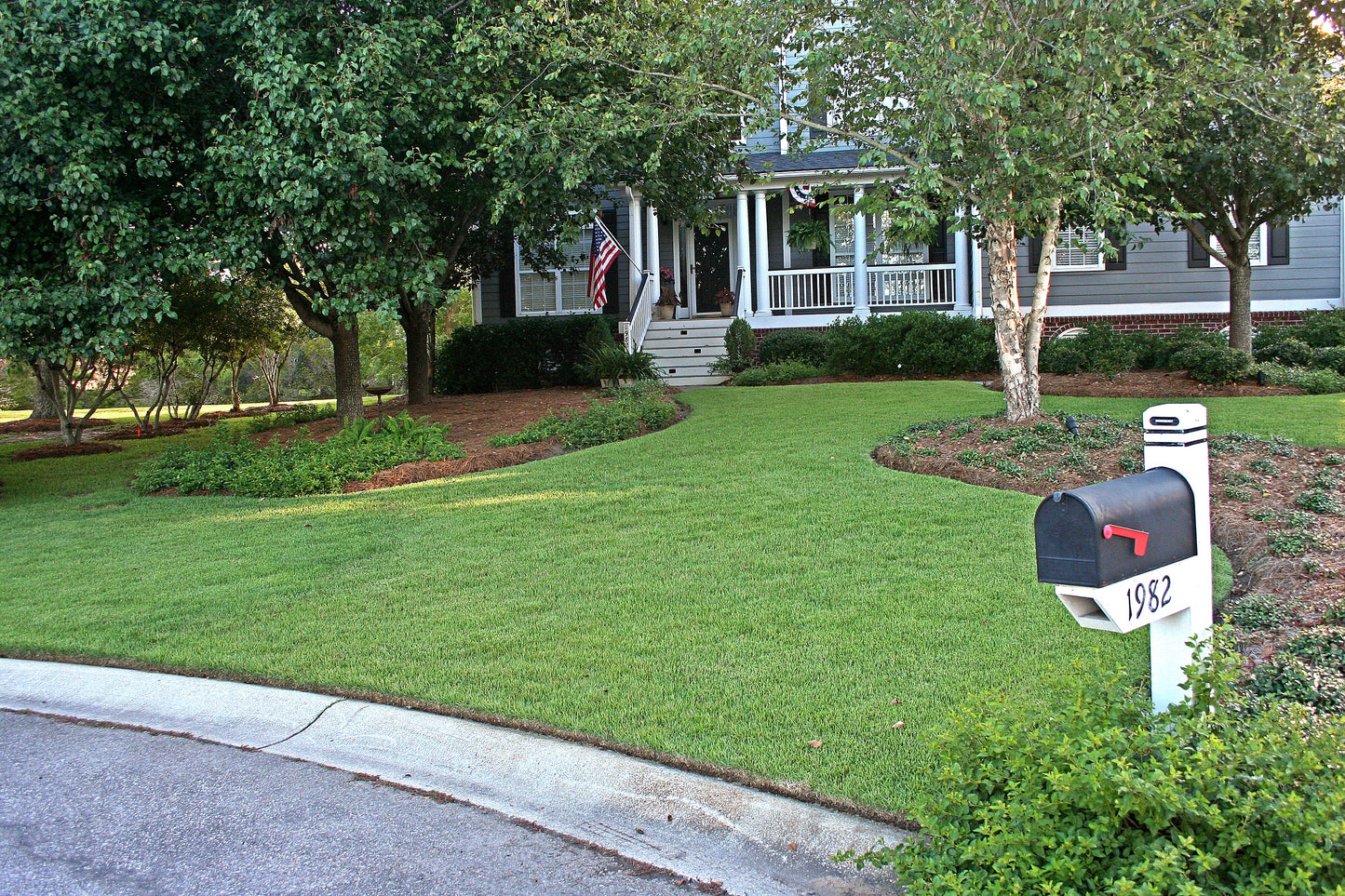 Empire Zoysia per 450 sq ft.