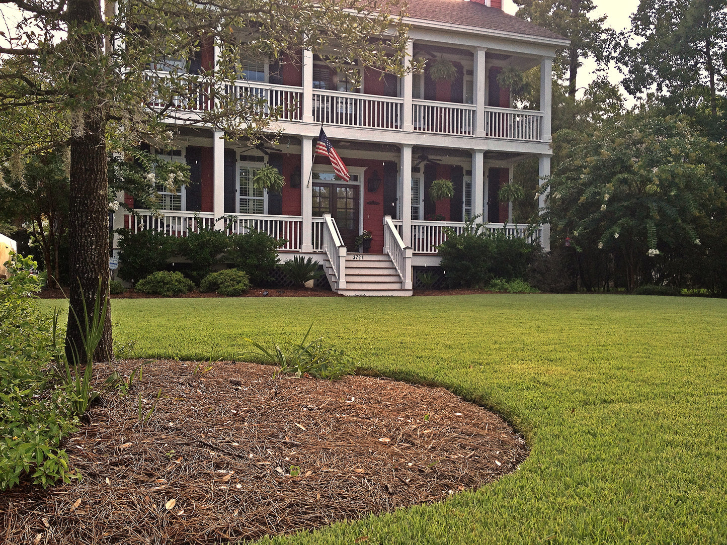 Empire Zoysia per 450 sq ft.